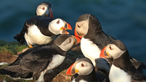 Working together to protect wildlife | The Wildlife Trust of South and